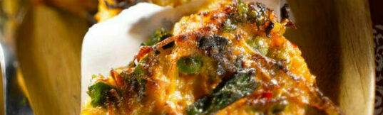 VH Indian Vegetable Pakoras