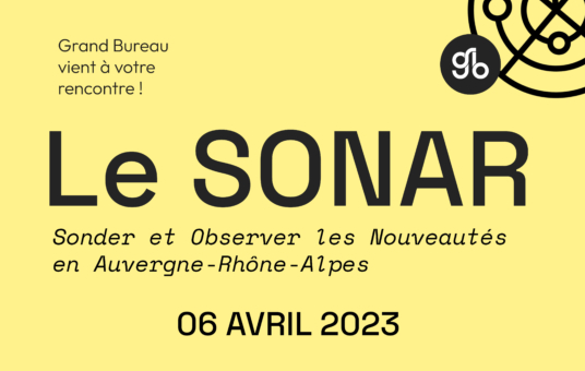 Miniature site sonar