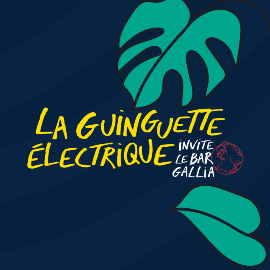 Guinguette Electrique 23